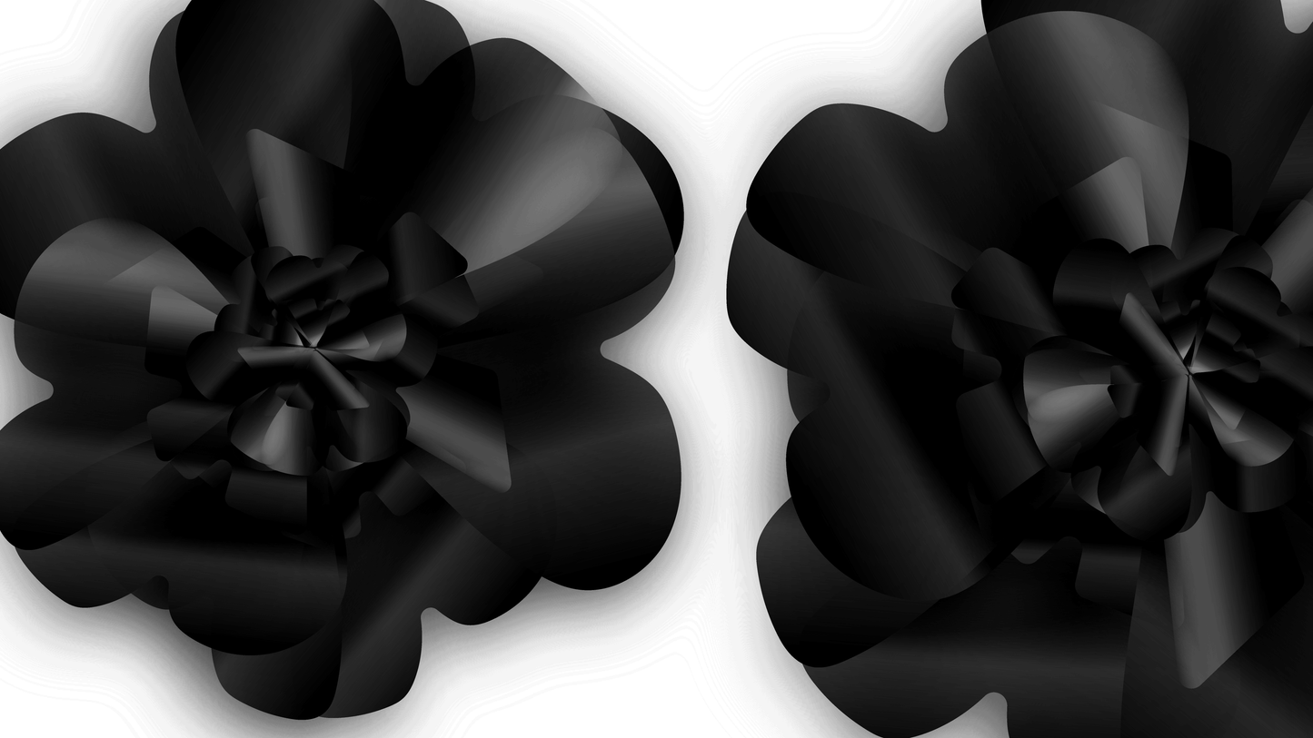 edizione black